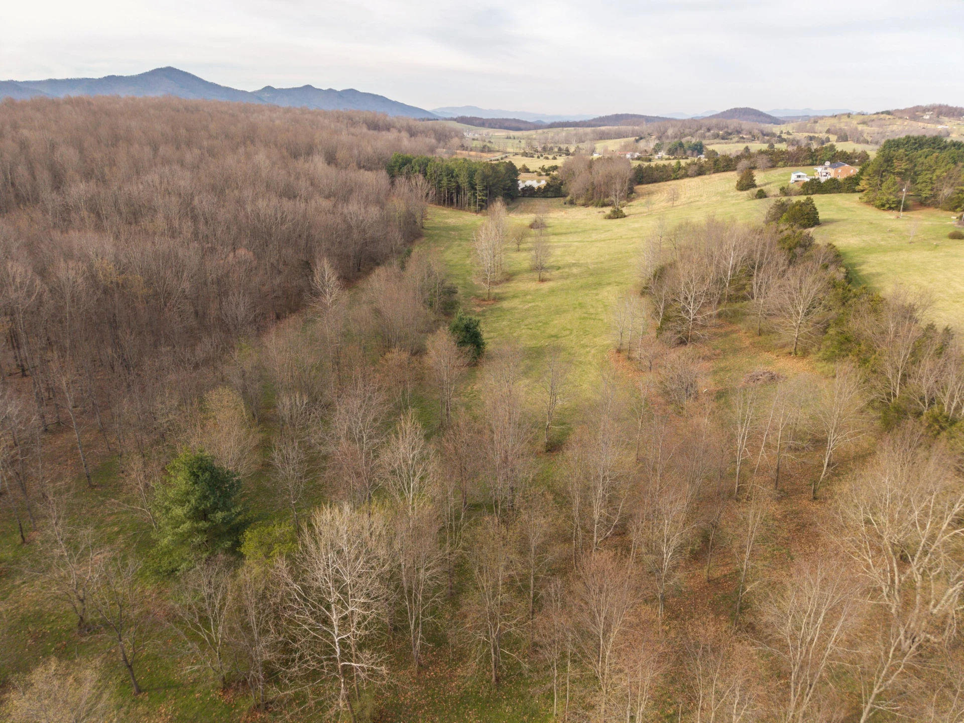 7598 N LEE Highway - Photo 51