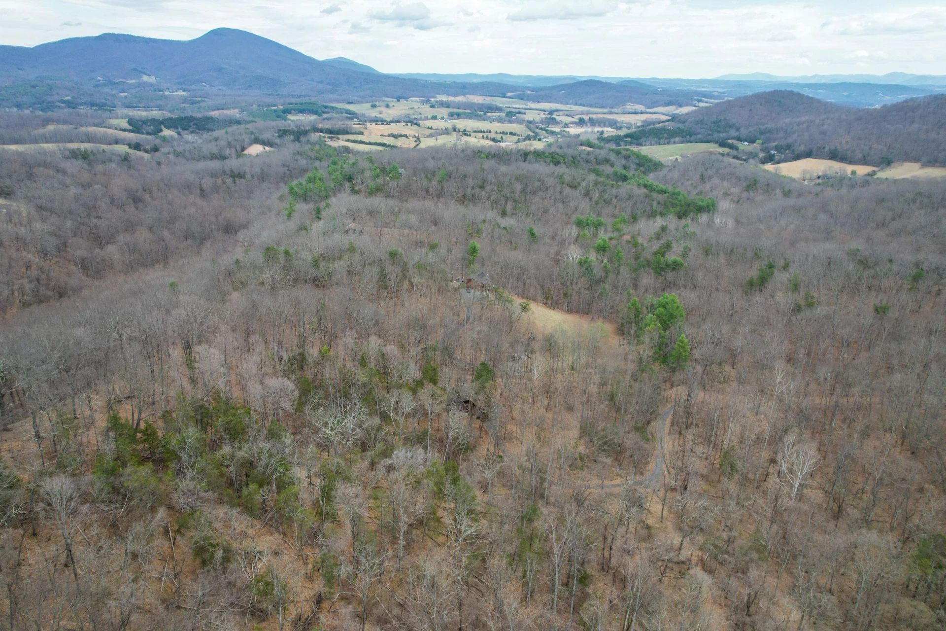 448 HOLLOW Ln - Photo 29