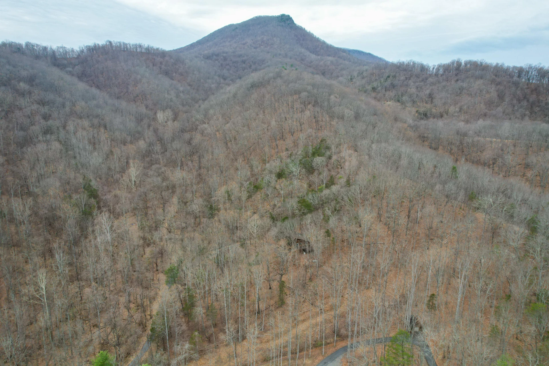 448 HOLLOW Ln - Photo 27
