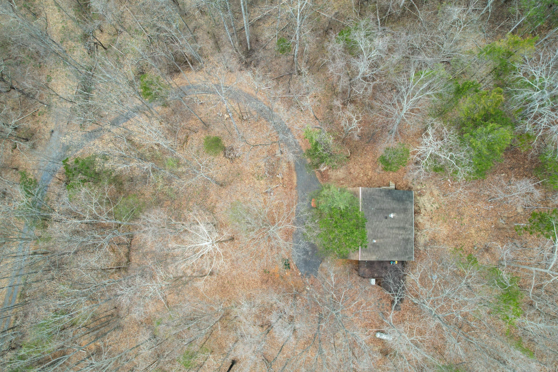 448 HOLLOW Ln - Photo 31