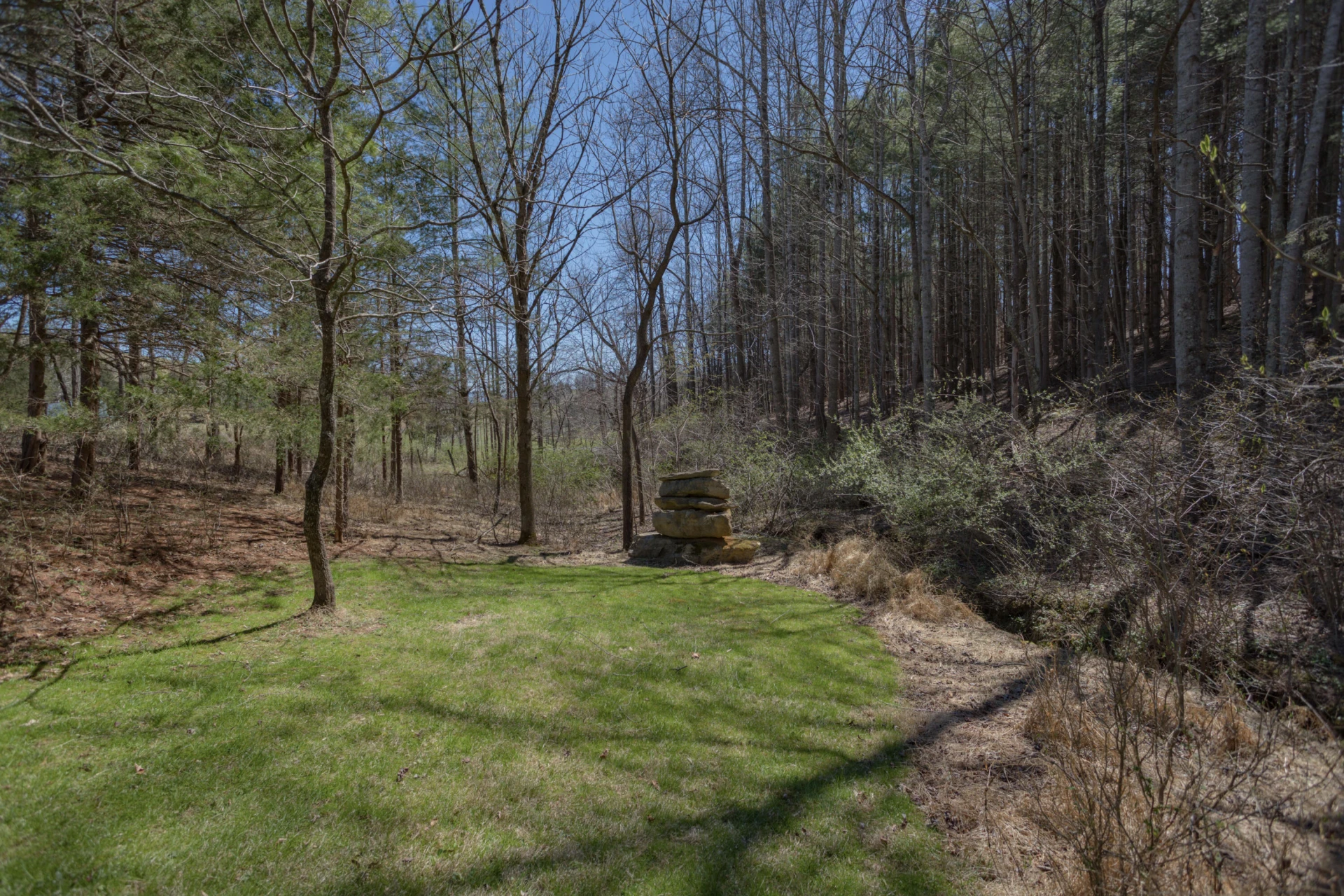 1363 Fredericksburg Rd - Photo 57