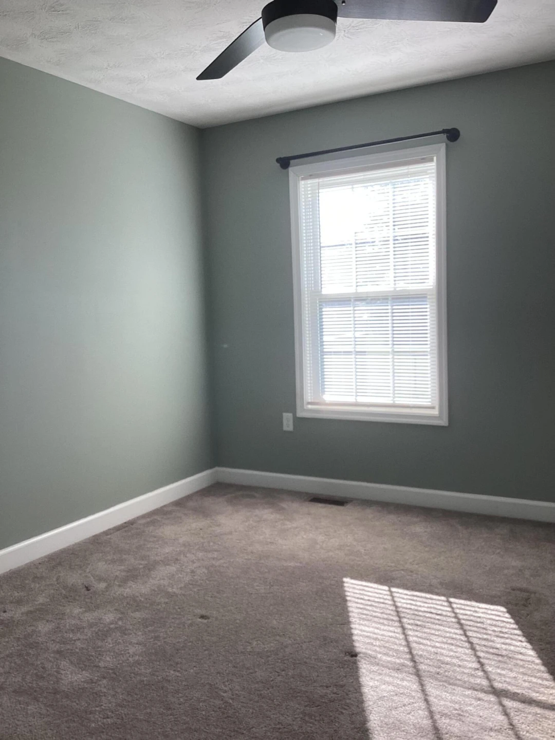 1365 Chestnut Ave - Photo 12