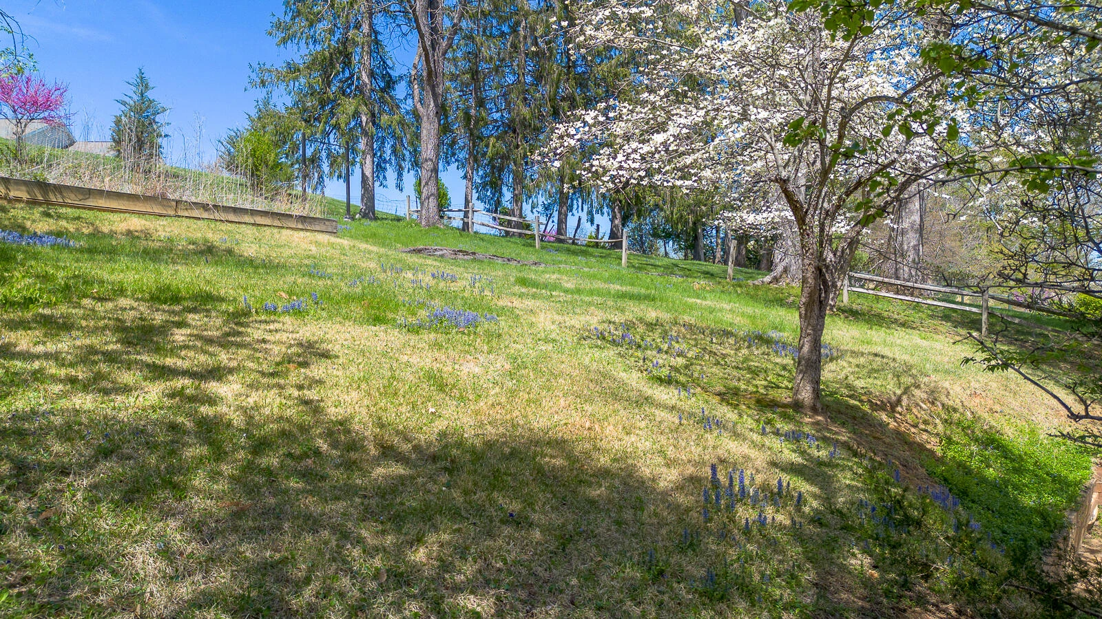 105 REBEL RIDGE Rd - Photo 9