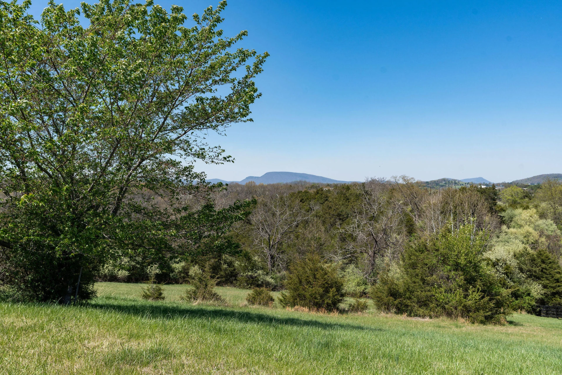 Lot 2 Cora Ln - Photo 2