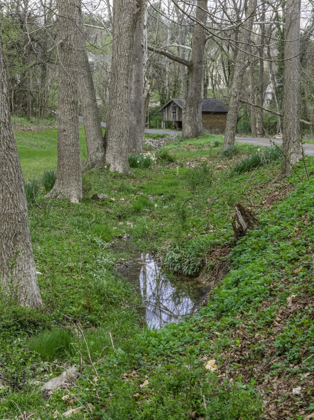 320 Enfield Rd - Photo 16