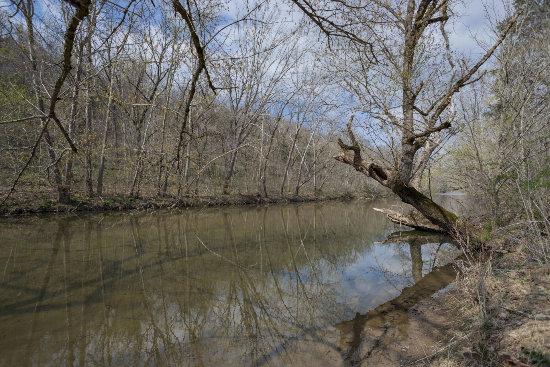 125 Millers Landing Ln - Photo 35