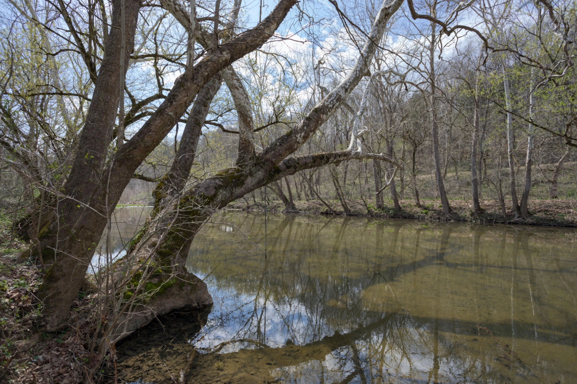 125 Millers Landing Ln - Photo 4