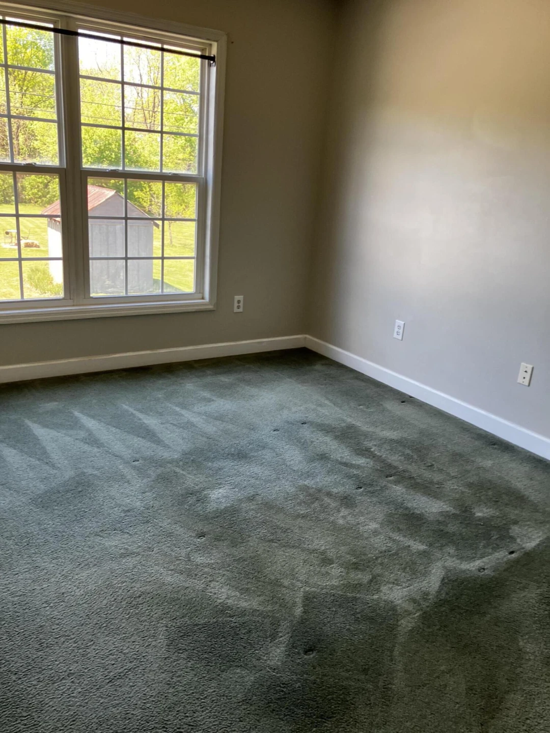 315 Hazel Ave - Photo 12