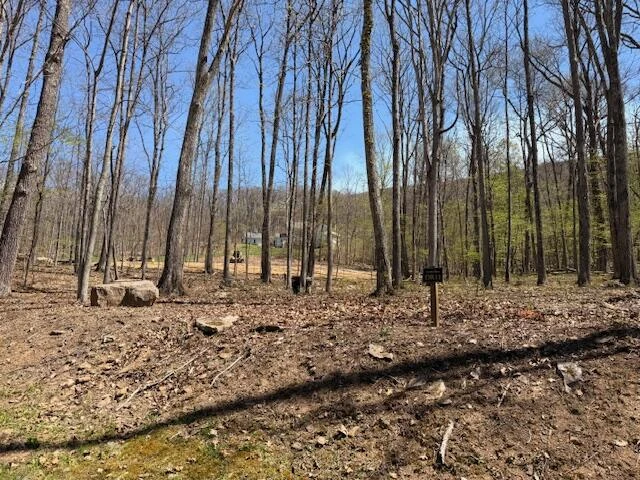 Tract 11 Delafield Rd