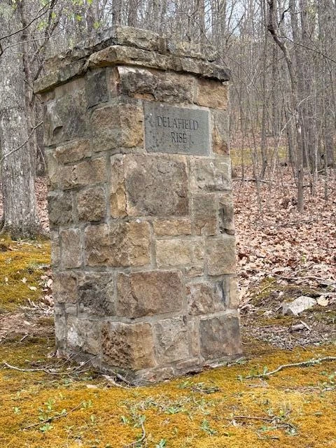 Tract 11 Delafield Rd - Photo 10