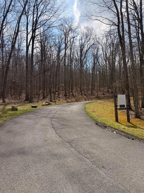 Tract 11 Delafield Rd - Photo 4