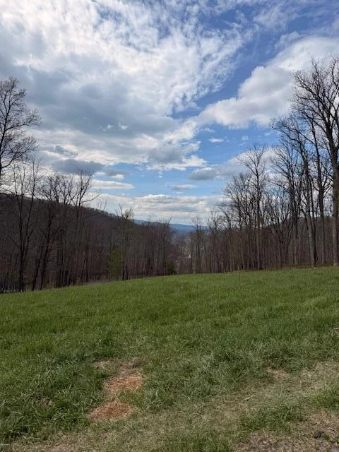 Tract 11 Delafield Rd - Photo 5