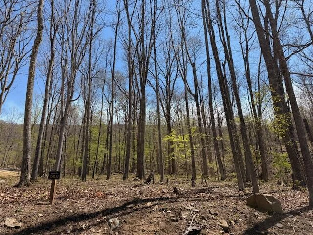 Tract 11 Delafield Rd - Photo 6