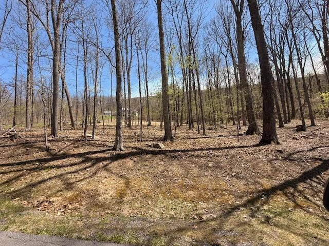 Tract 11 Delafield Rd - Photo 7