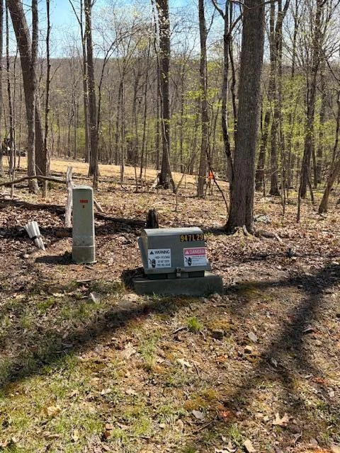 Tract 11 Delafield Rd - Photo 8