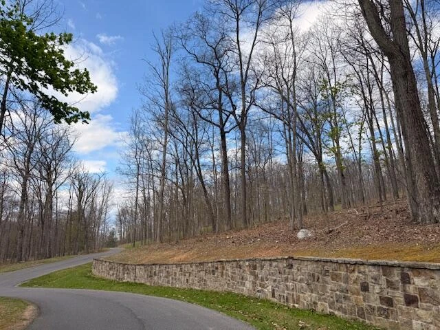 Tract 11 Delafield Rd - Photo 9