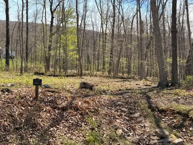 Tract 12 Delafield Rd, Hot Springs, VA, 24445