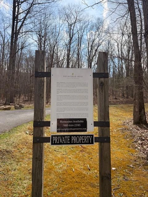 Tract 12 Delafield Rd - Photo 2