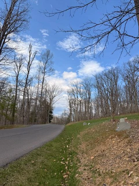 Tract 12 Delafield Rd - Photo 4