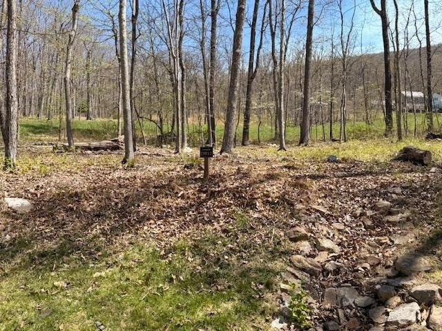 Tract 12 Delafield Rd - Photo 5