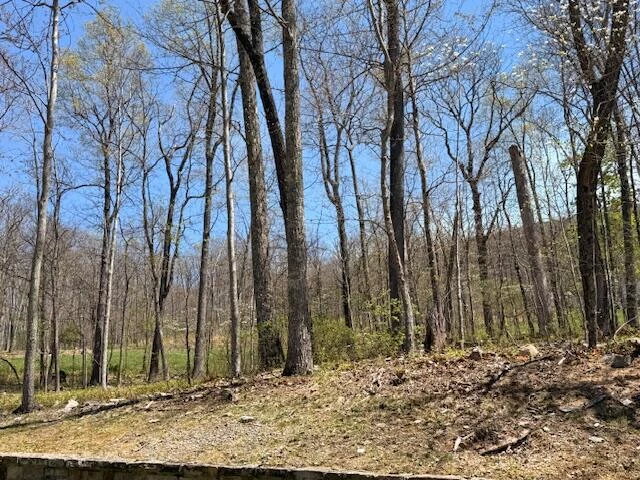 Tract 12 Delafield Rd - Photo 6