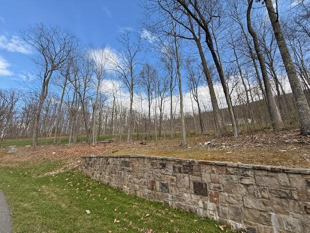 Tract 12 Delafield Rd - Photo 7