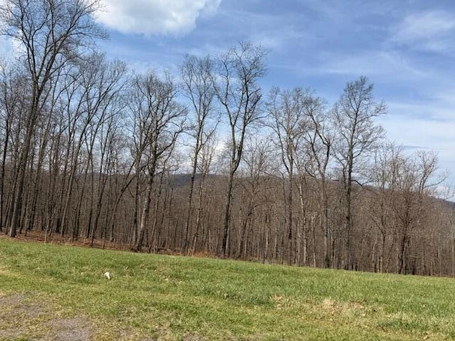 Tract 12 Delafield Rd - Photo 8