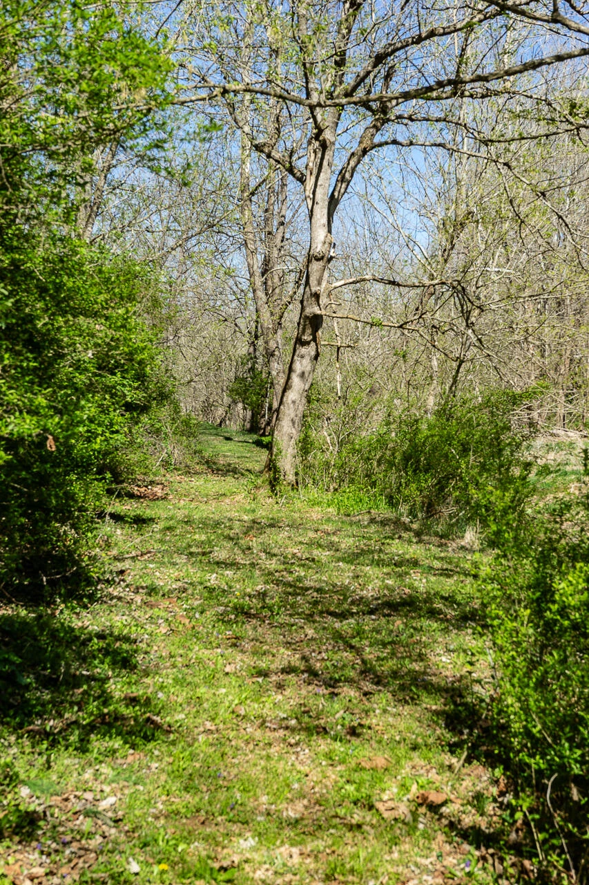 325 Bellevue Ln - Photo 46