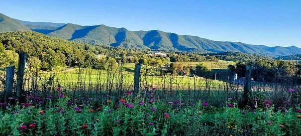 120 Red Hill Rd - Photo 10