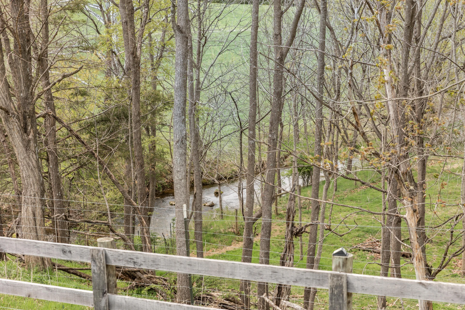 374 Finley Rd - Photo 65