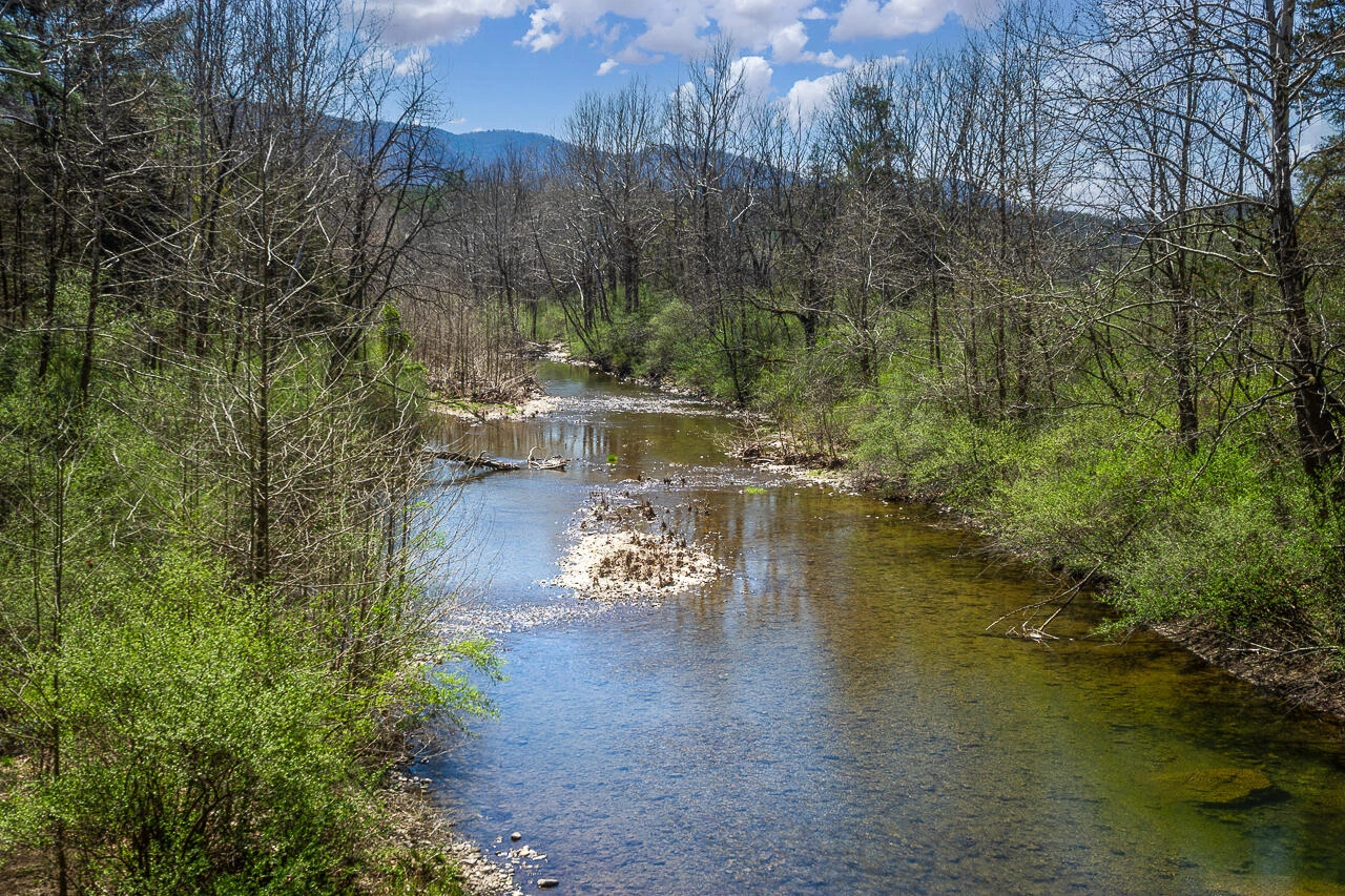10245 Cowpasture River Rd - Photo 3
