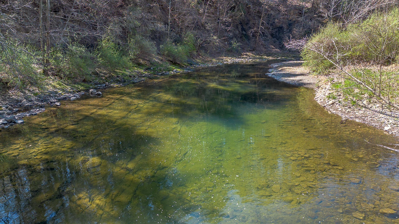 10245 Cowpasture River Rd - Photo 35
