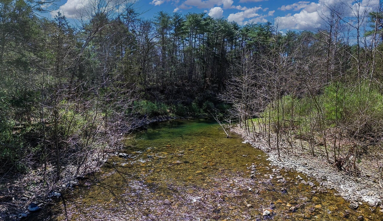 10245 Cowpasture River Rd - Photo 36