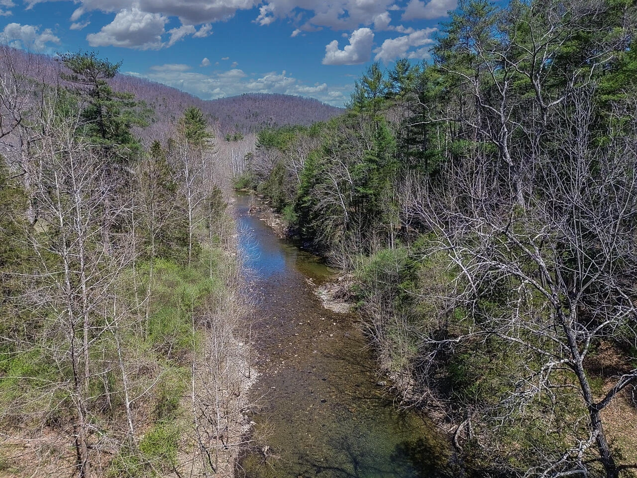 10245 Cowpasture River Rd - Photo 37
