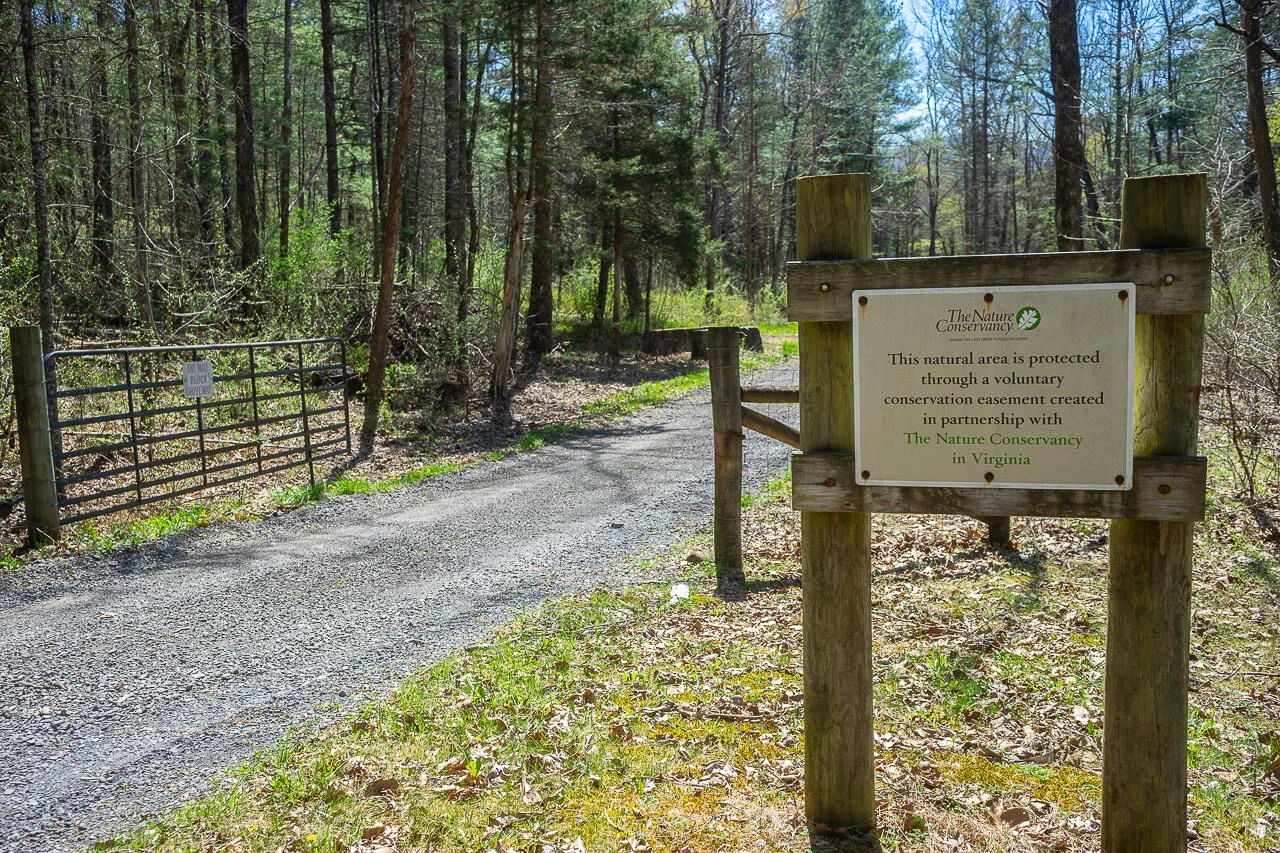 10245 Cowpasture River Rd - Photo 44