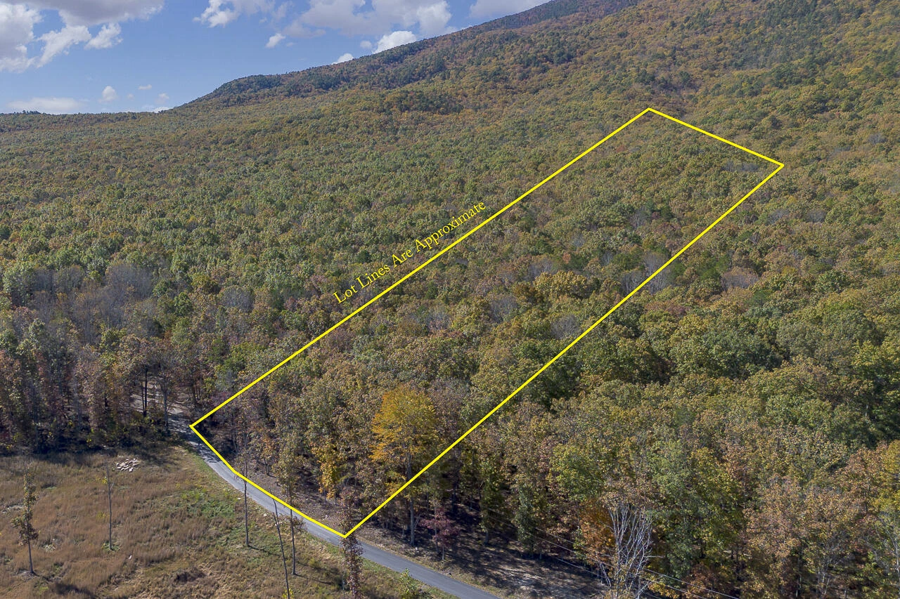 0 Callie Mines Rd - Photo 3