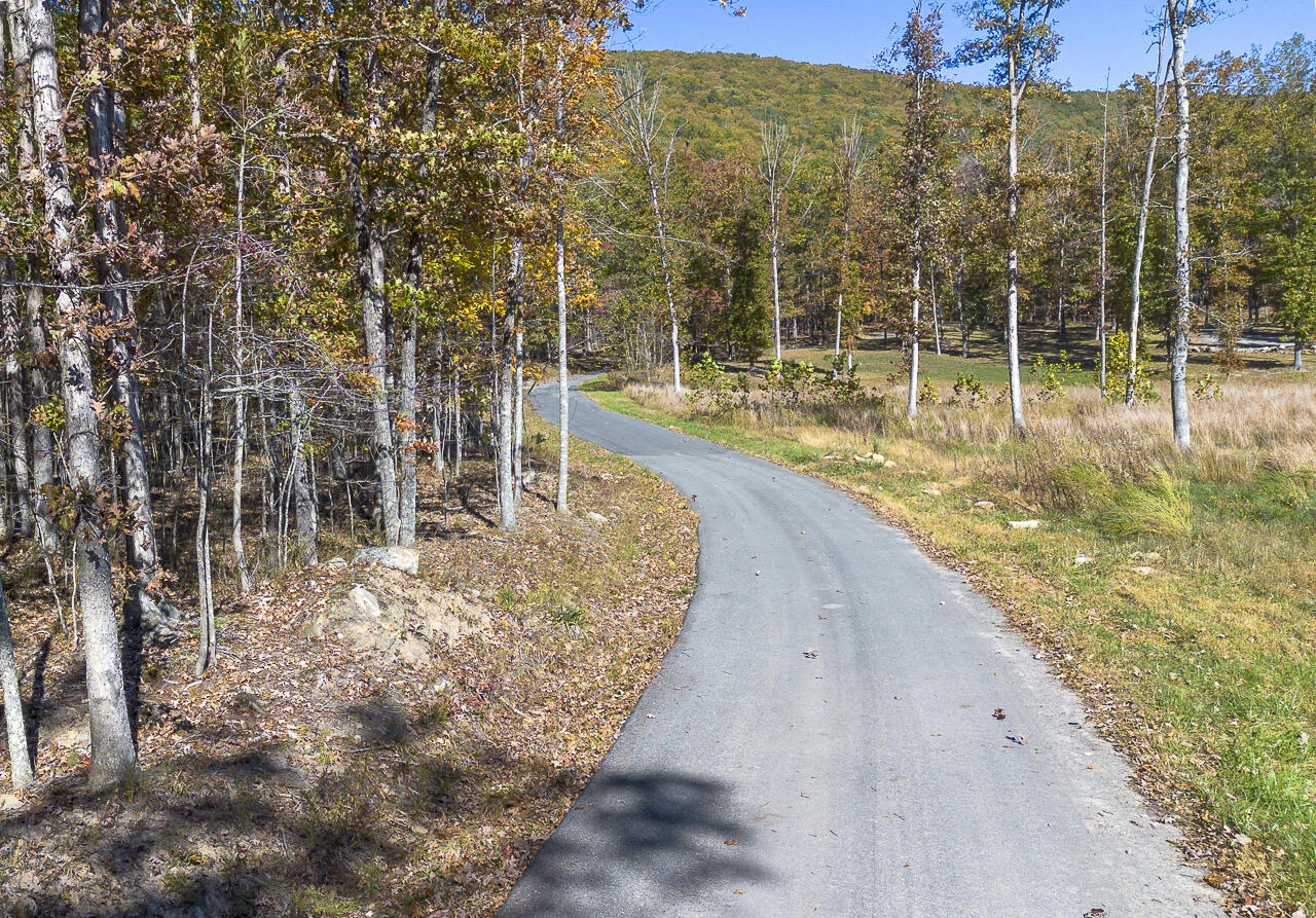 0 Callie Mines Rd - Photo 4