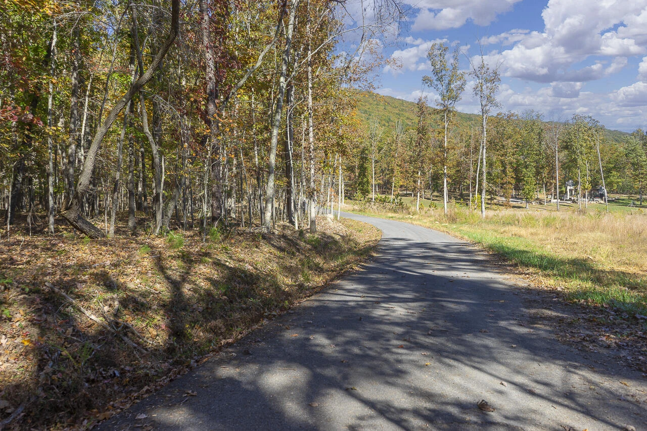 0 Callie Mines Rd - Photo 5