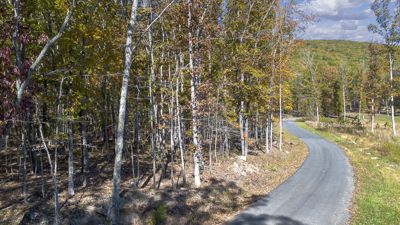 0 Callie Mines Rd - Photo 6