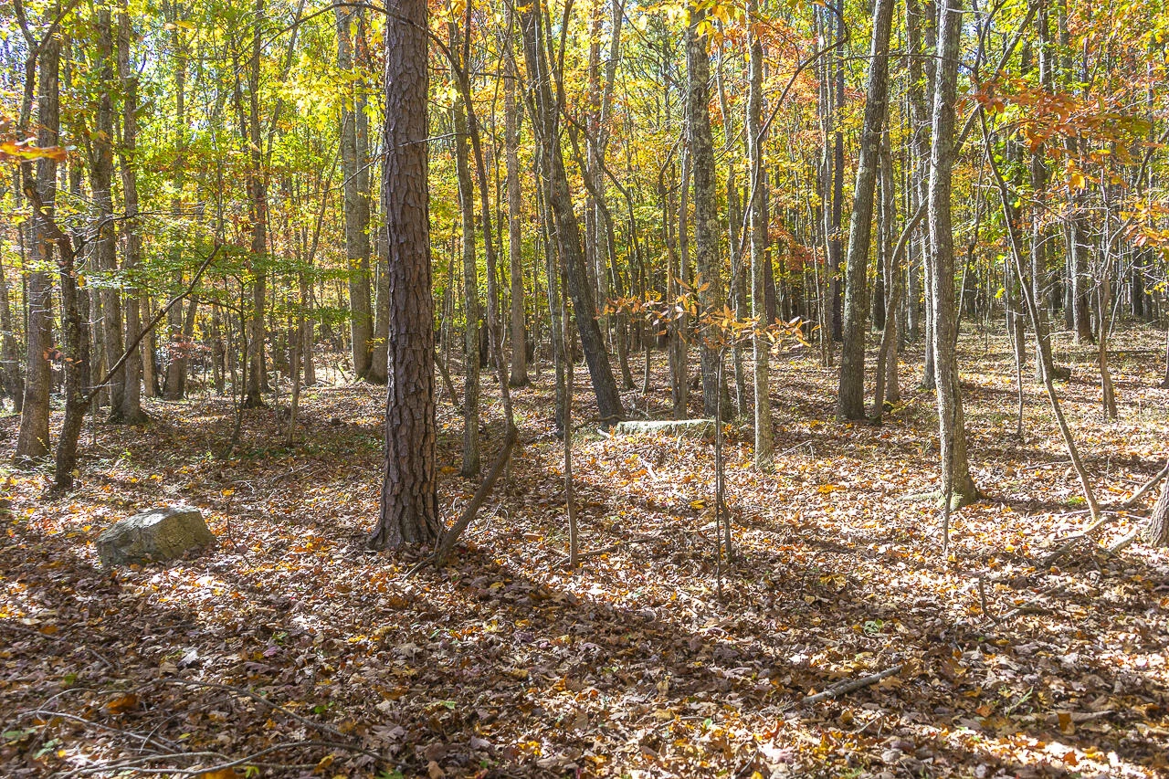 0 Callie Mines Rd - Photo 7
