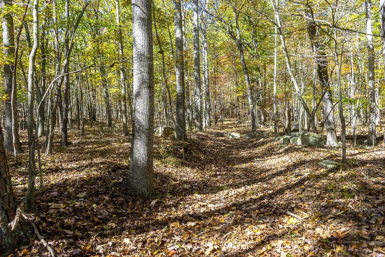 0 Callie Mines Rd - Photo 8
