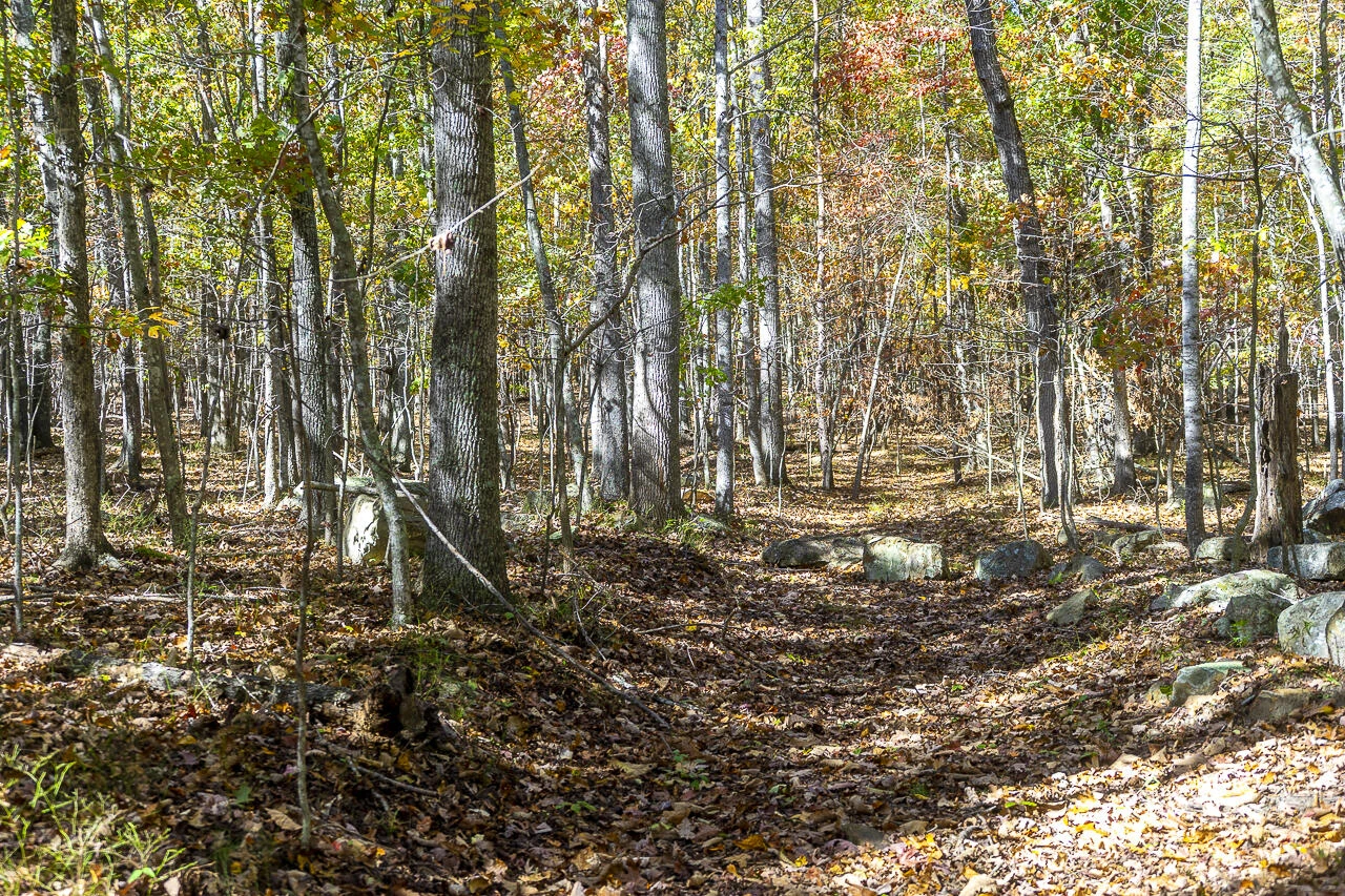 0 Callie Mines Rd - Photo 9