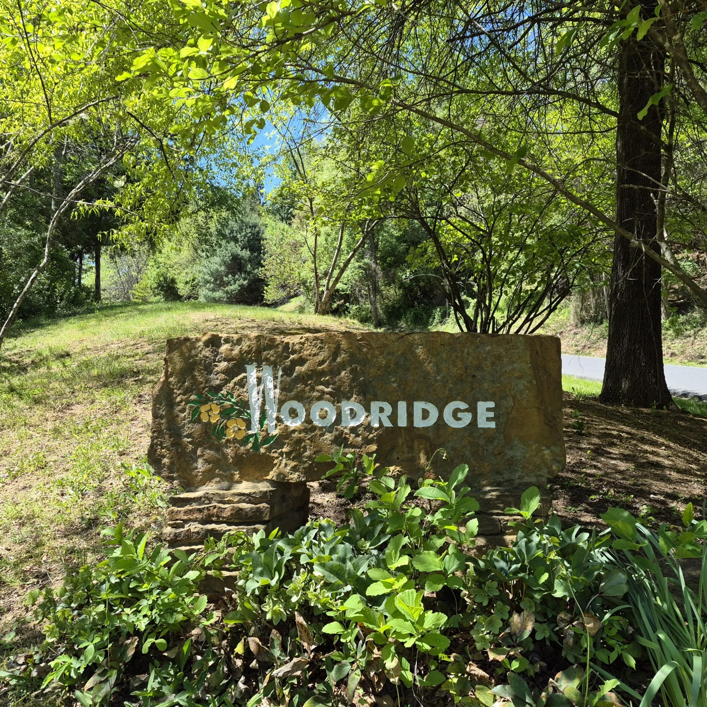 Lot 9 Woodridge Ln - Photo 3