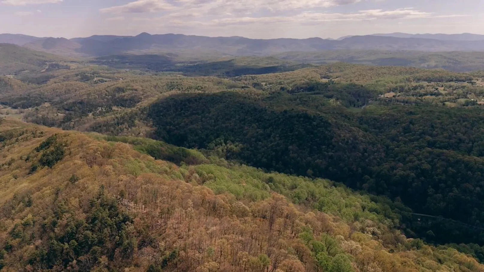 0 Sugar Tree Hollow Rd - Photo 2