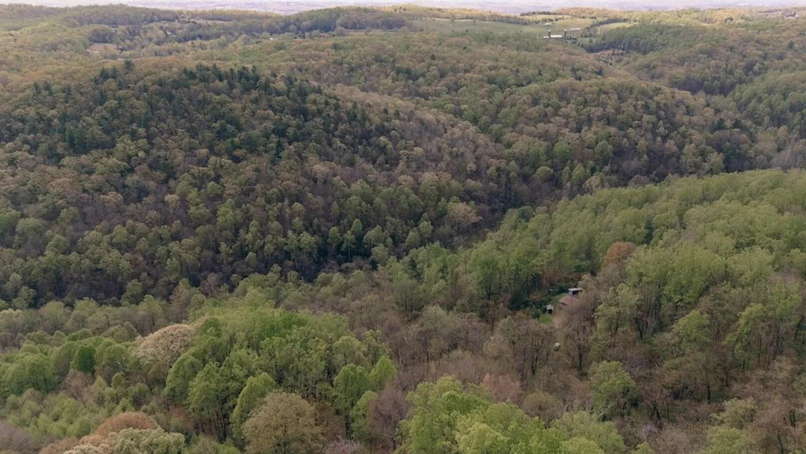 0 Sugar Tree Hollow Rd - Photo 7