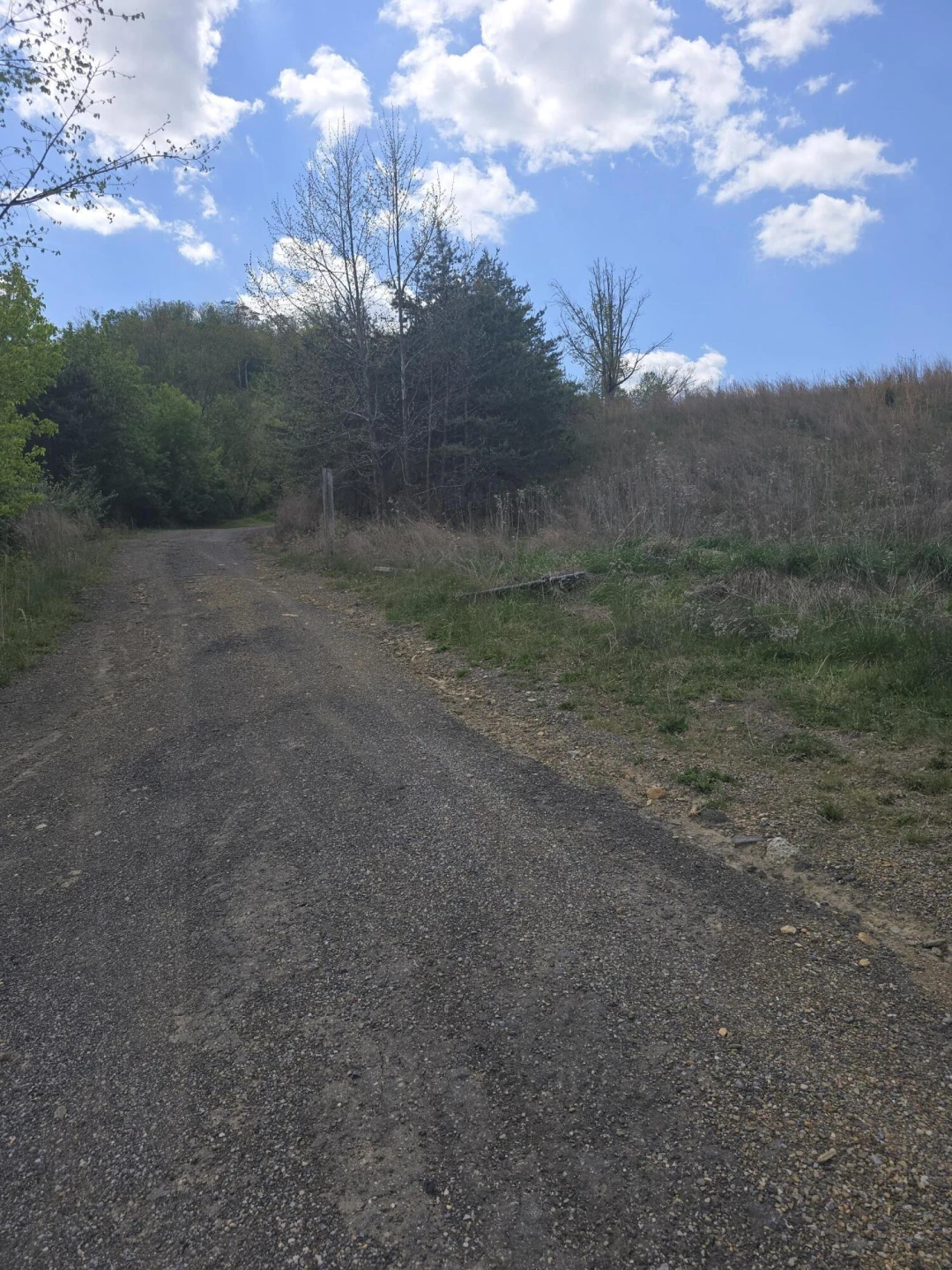 TBD W Indian Valley Rd - Photo 2
