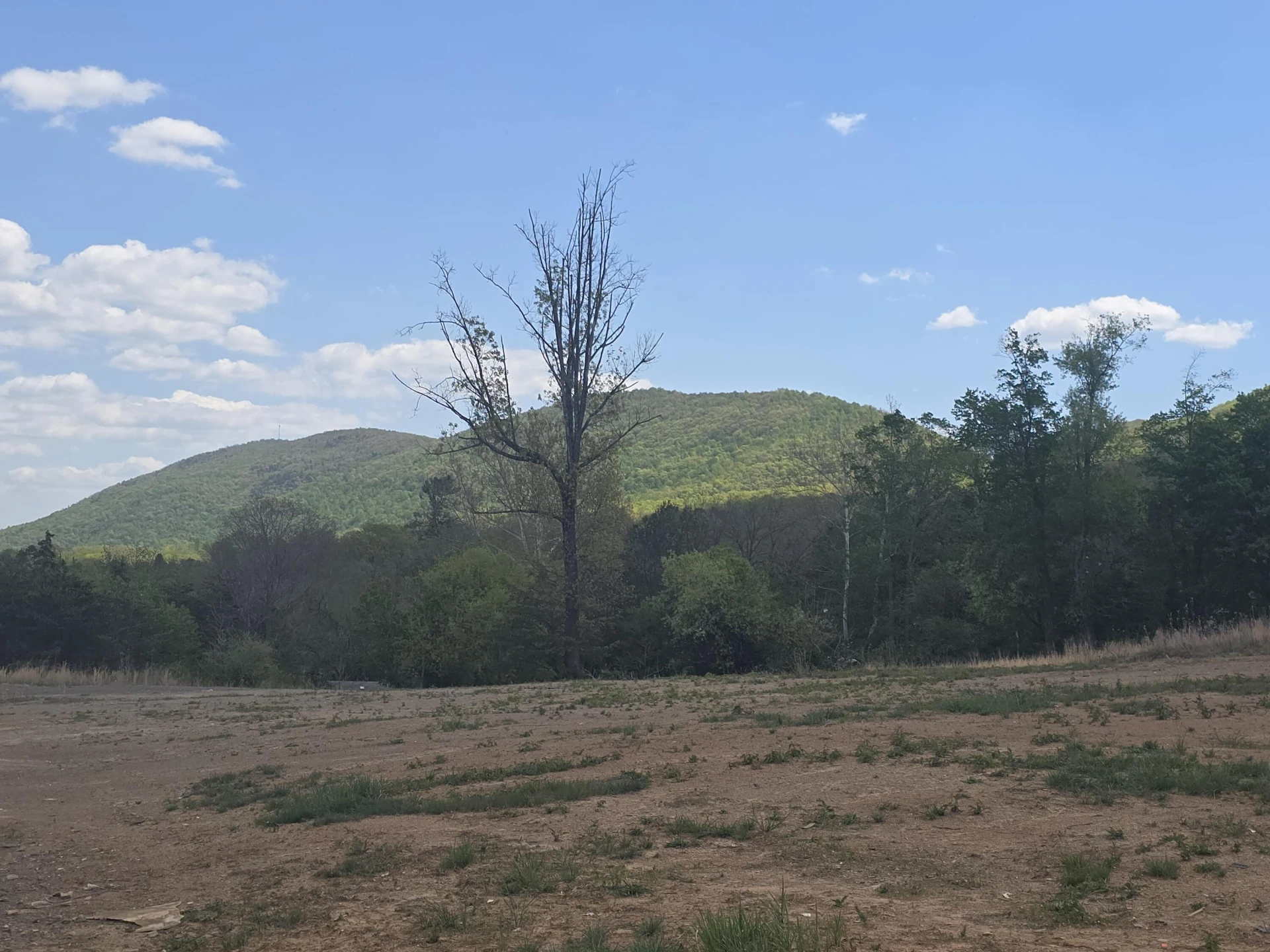 TBD W Indian Valley Rd - Photo 6