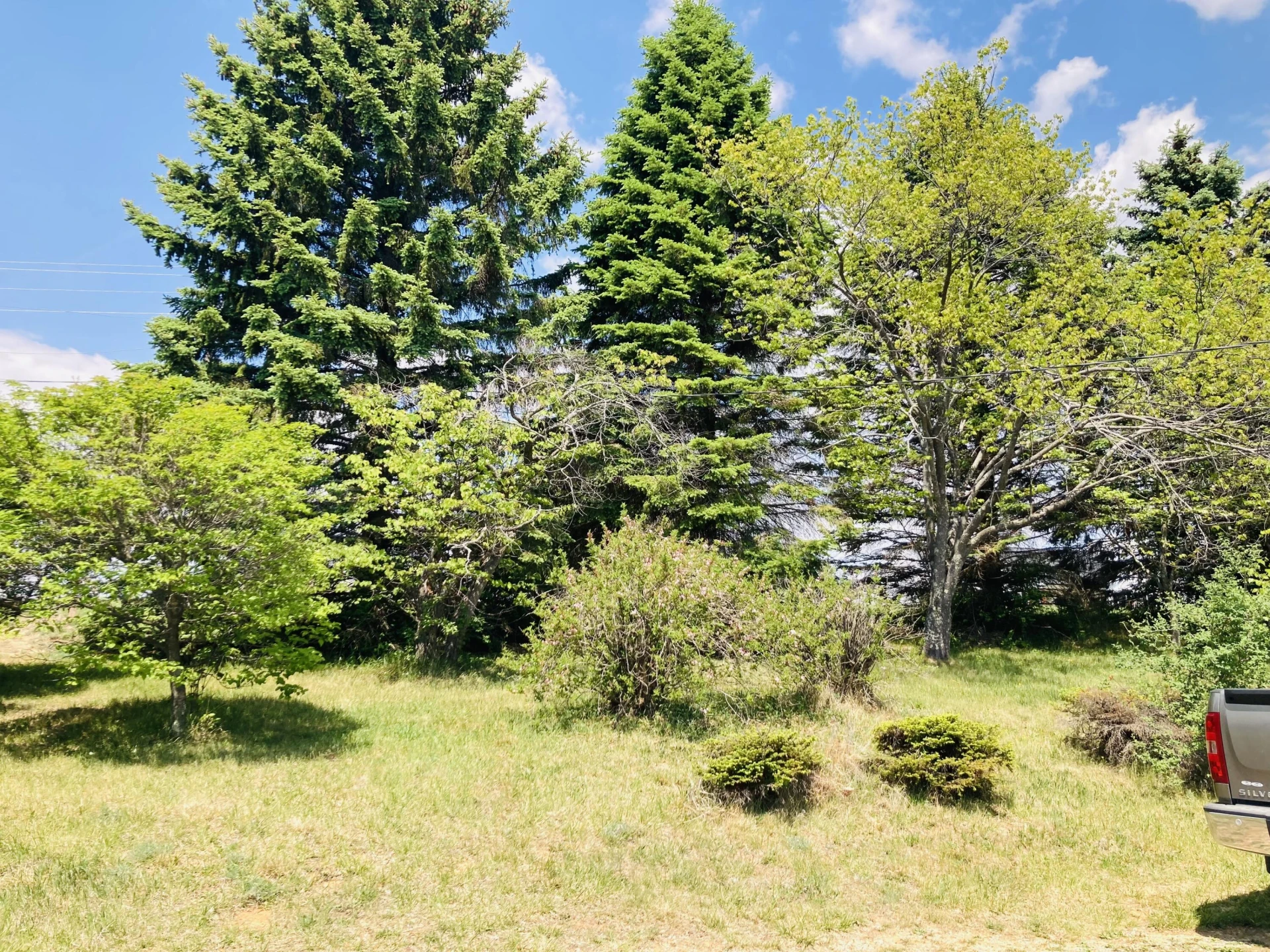 15 OSCAR VIEW Ln - Photo 3