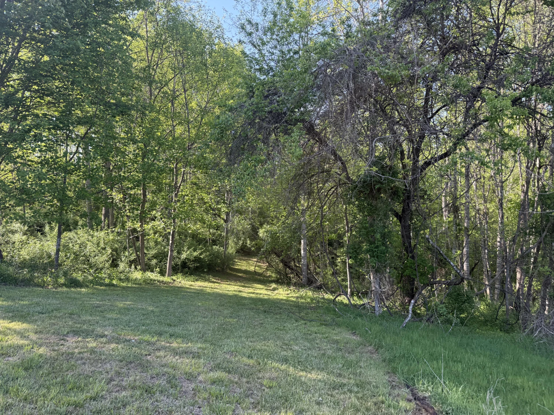 TBD Monte Carlo Ln - Photo 3