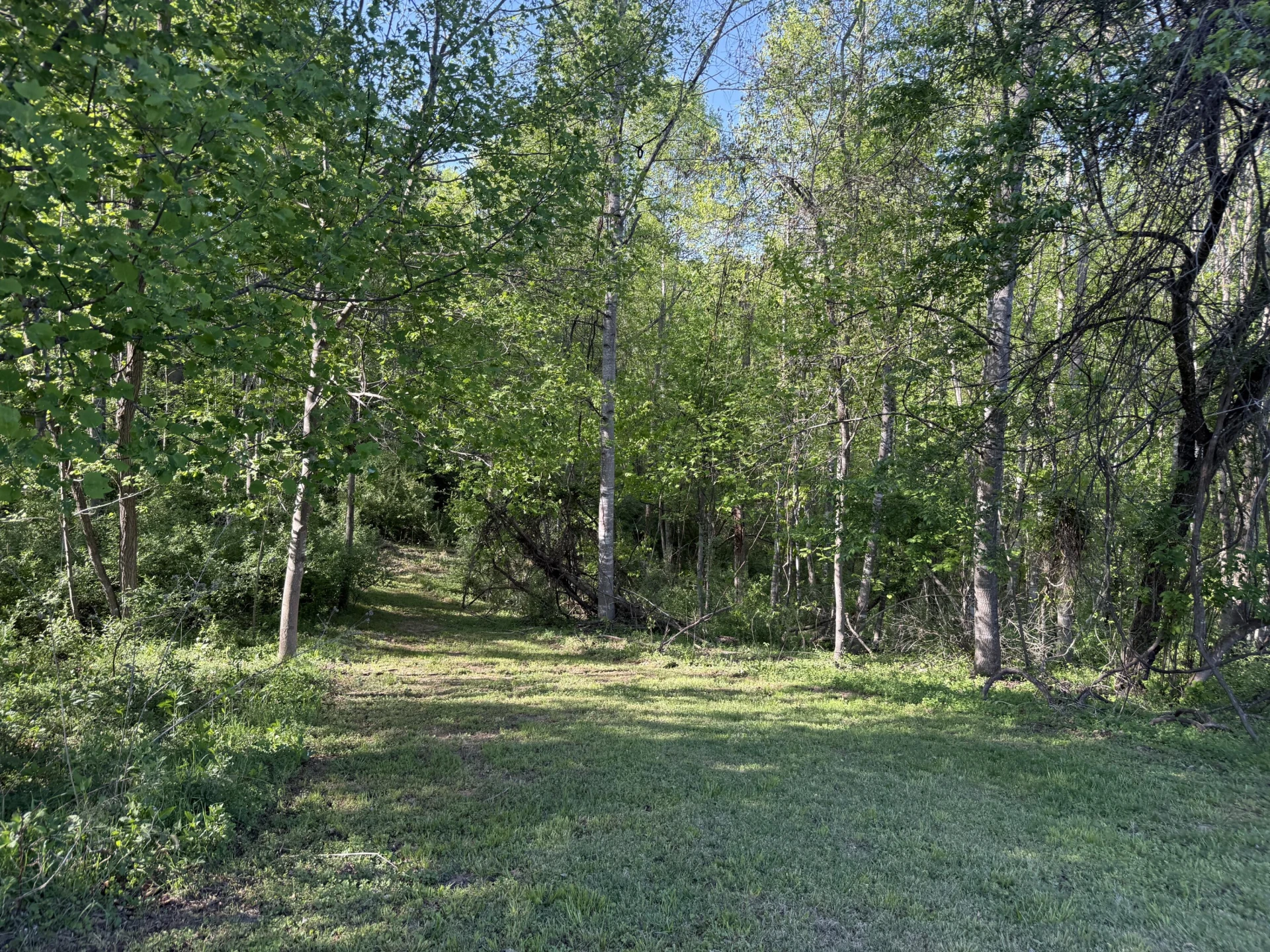 TBD Monte Carlo Ln - Photo 5